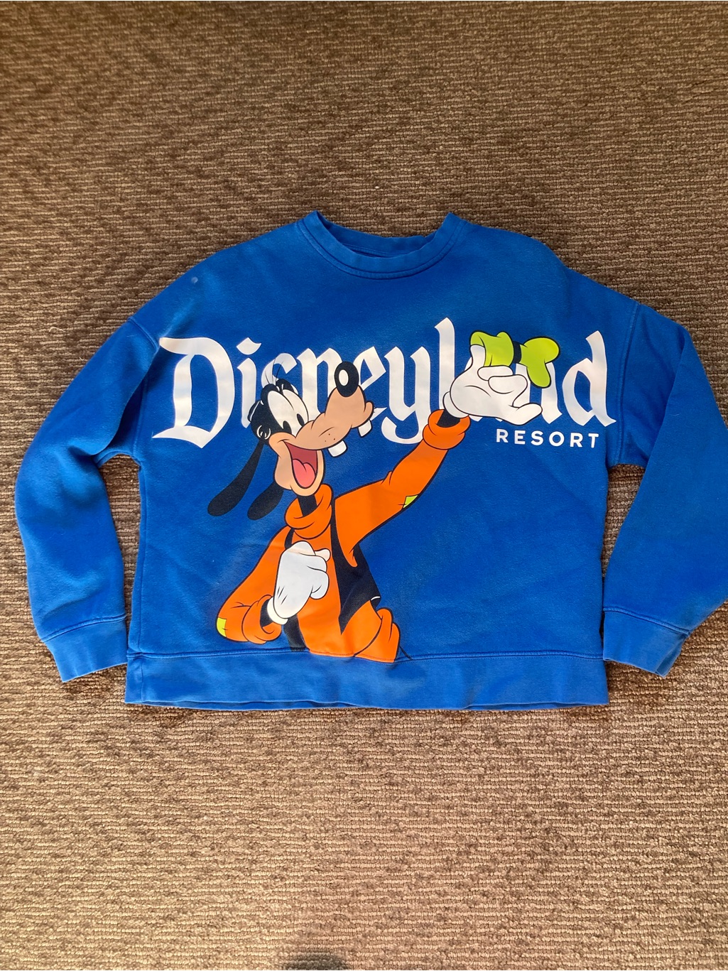 Disneyland Resort Blue Goofy Double-Sided Crewneck Sweatshirt Xs Disney Parks